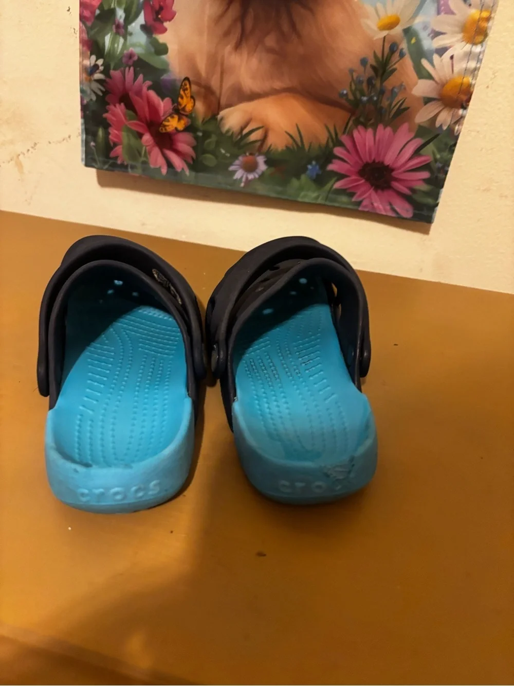 CROCS Kids' Clog in Black with Bright Blue Lining